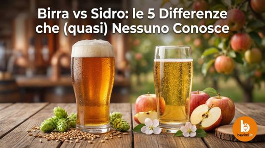Birra vs Sidro: le 5 Differenze che (quasi) Nessuno Conosce